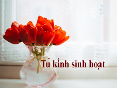 Tủ kính sinh hoạt (Th. Ba ) b - 2019-07-16