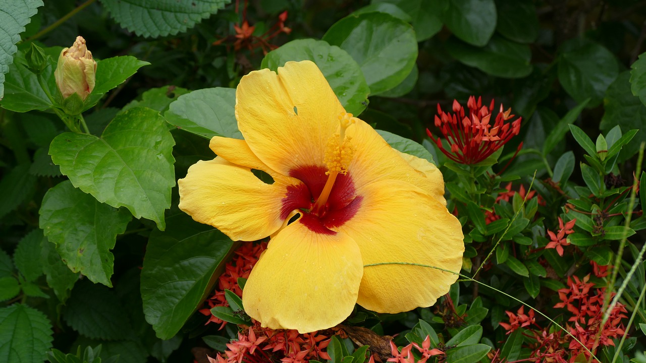 Miền quê yêu dấu