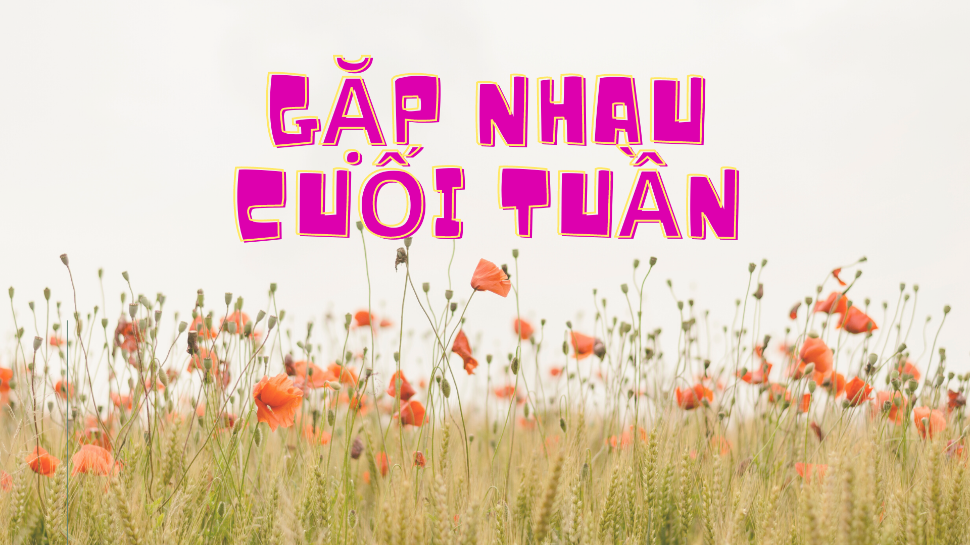 Gặp nhau cuối tuần