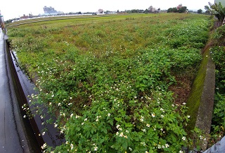Theo dòng thời sự - 2021-04-03