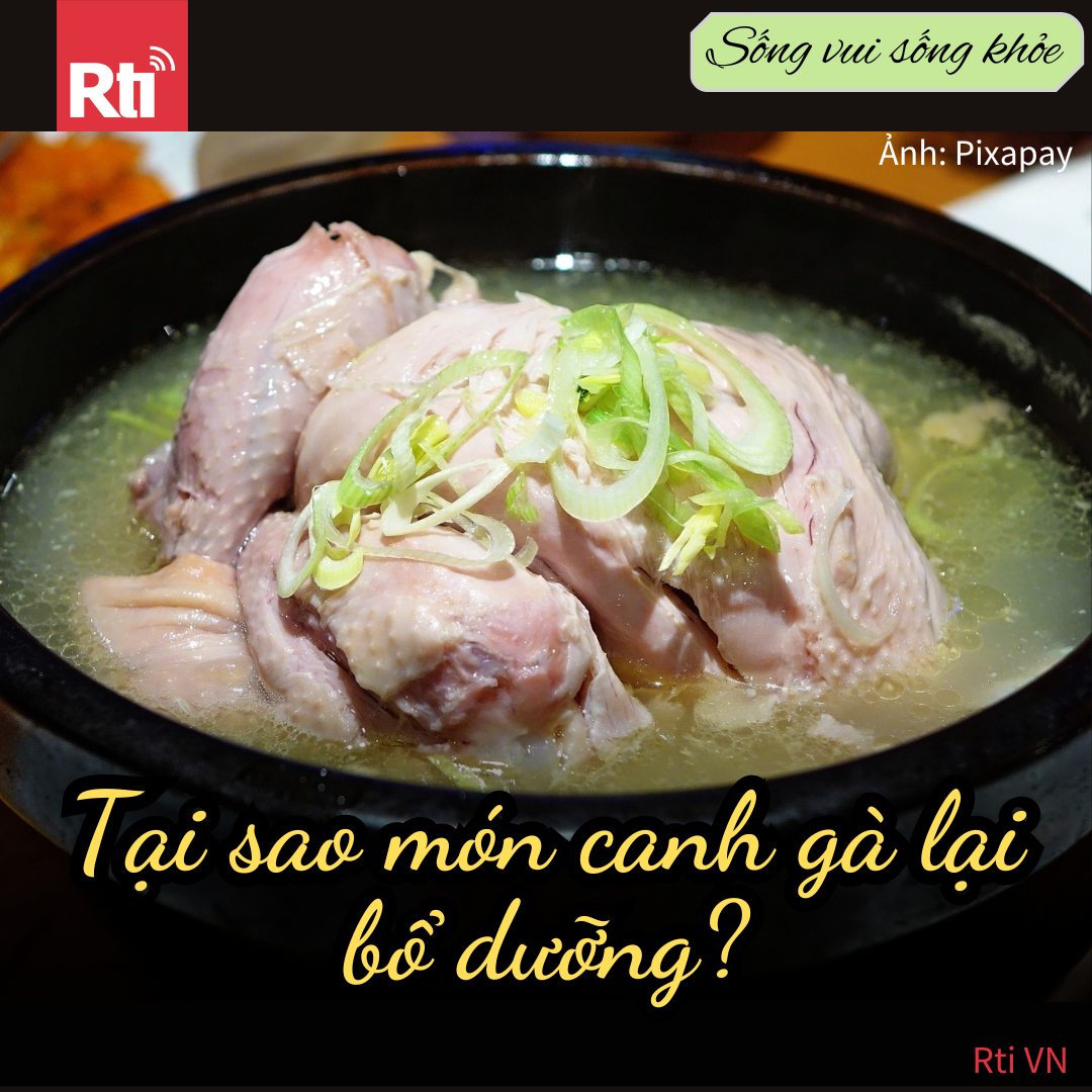 [Sống vui sống khỏe - Tập 93] Tại sao canh gà lại bổ dưỡng?