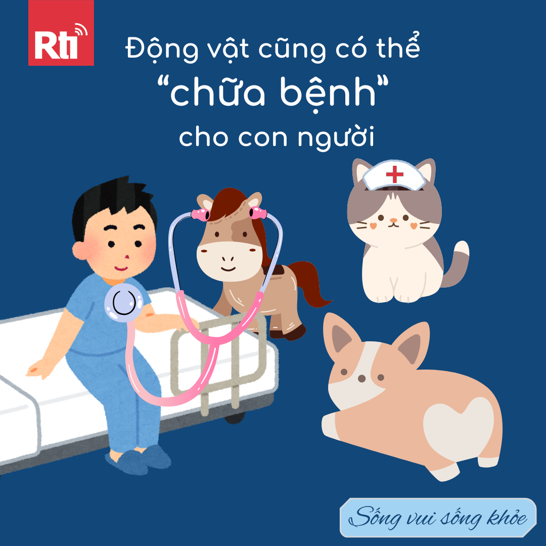 [Sống vui sống khỏe - Tập 97] Động vật cũng có thể “chữa bệnh” cho con người