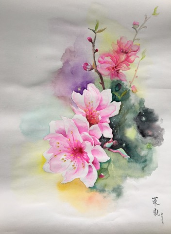 Ố́ng kính rộng