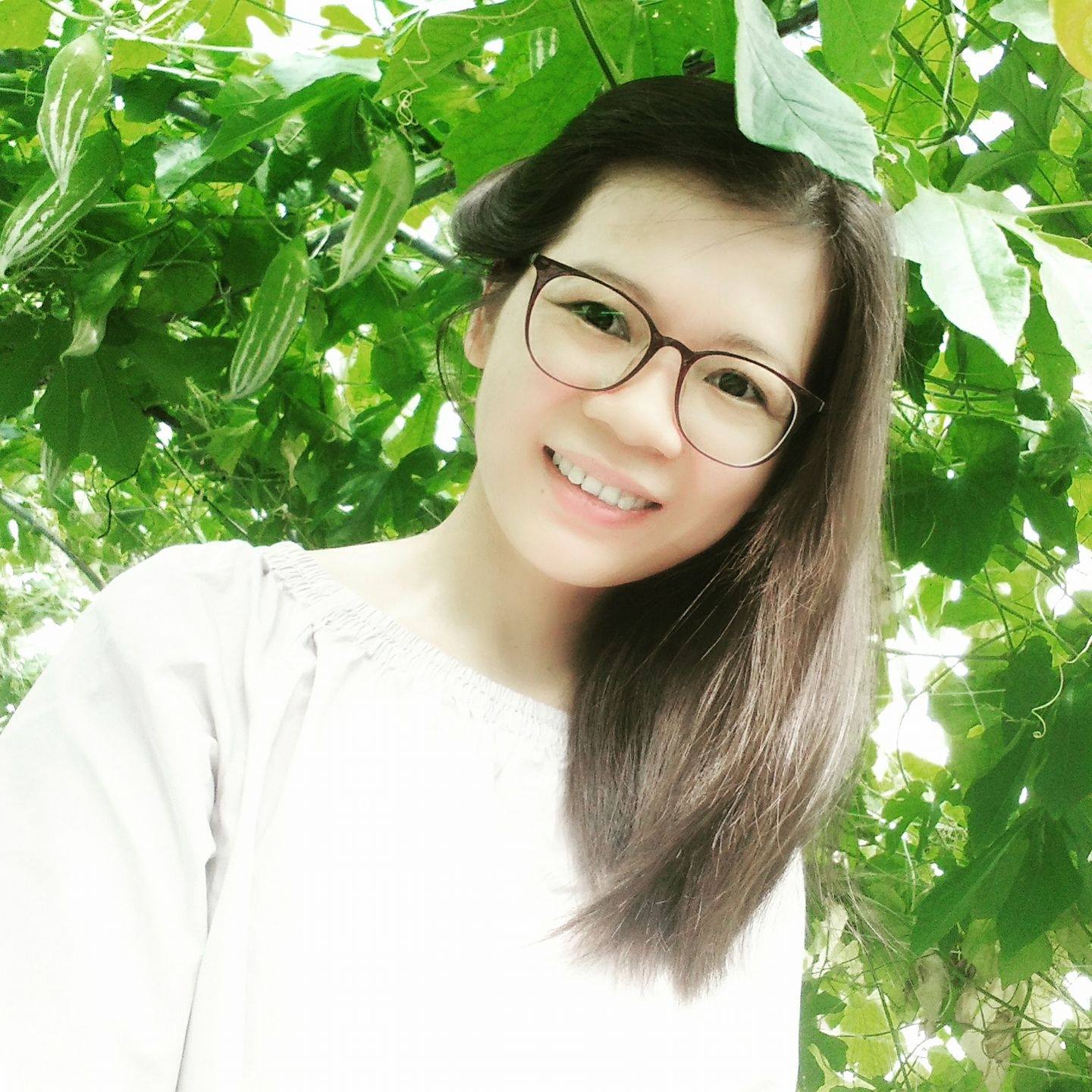 Vườn rau trái sum suê của cô gái Việt trên xứ Đài Vườn rau trái sum suê của cô gái Việt trên xứ Đài