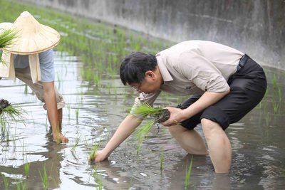 Thị trưởng thành phố Đài Bắc Kha Văn Triết cùng phu nhân một ngày làm nghề nông