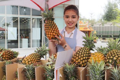 Thơm Đài Loan tồn đọng thuốc trừ sâu, Trung quốc sẽ kiểm tra từng lô hàng.