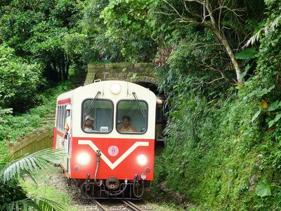 Từ ngày 3/6 mở cửa bán vé tàu lửa Alishan Forest hạng Youlun