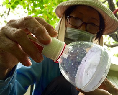 Vượt mốc 6000 ca nhiễm dịch sốt xuất huyết dengue