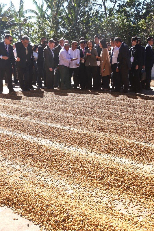 Tổng thống Thái Anh Văn: Đầu tư vào Trung Mỹ bắt đầu từ ngành dệt.
