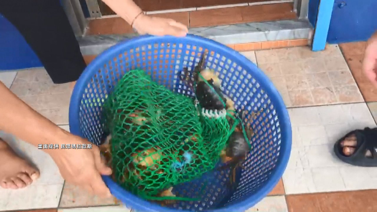 Lễ hội cua ở đảo Lan Tự được diễn ra vào tháng 4
