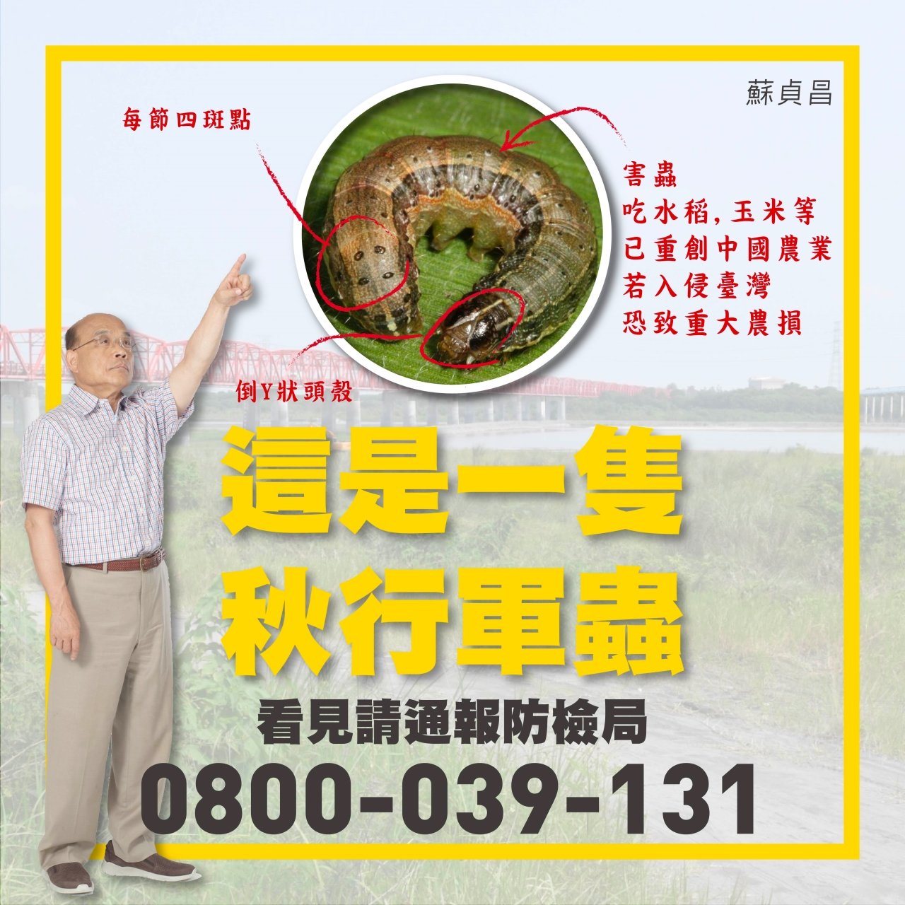 Ngăn chặn “sâu xanh mùa thu”. Thủ tướng kêu gọi tăng cường phòng chống.