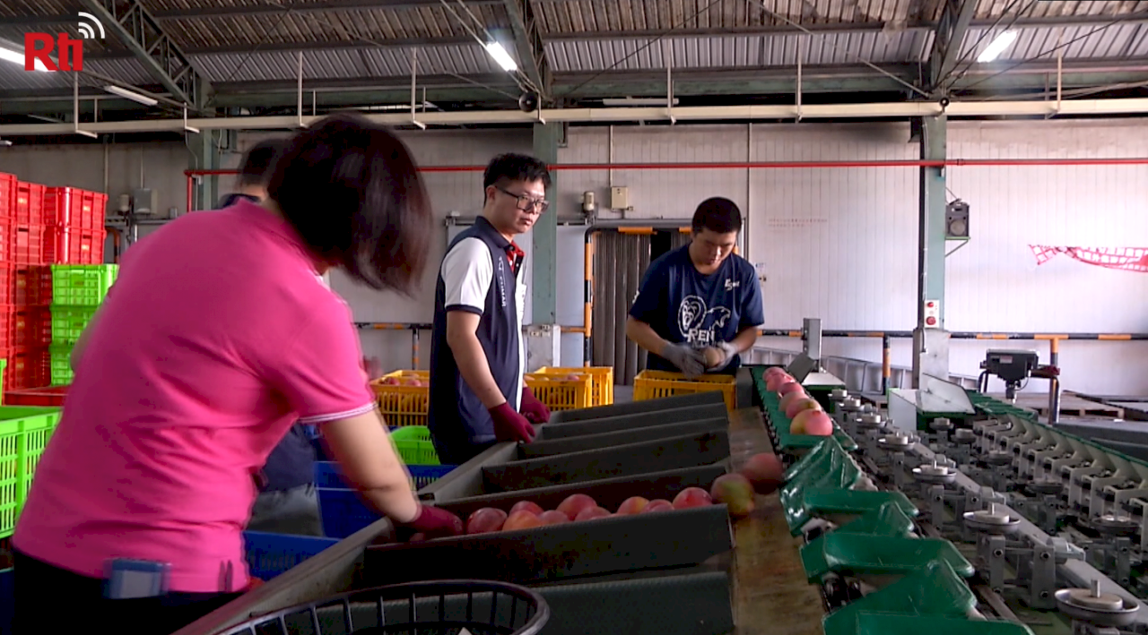 Học sinh cấp 3 đi làm thêm, giúp giải quyết nhân lực cho Ủy ban nông nghiệp