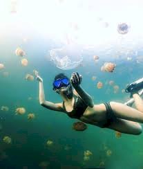 Đài Loan và Palau có khả năng áp dụng mô hình