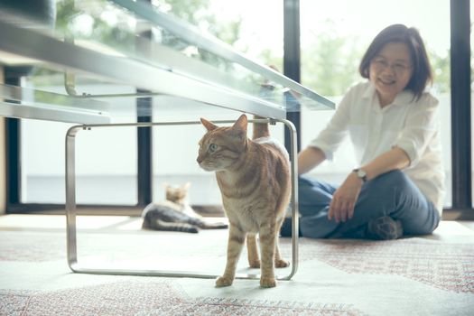 Tổng thống Thái Anh Văn chụp ảnh lịch năm 2021 gây quỹ từ thiện chăm sóc bảo vệ động vật