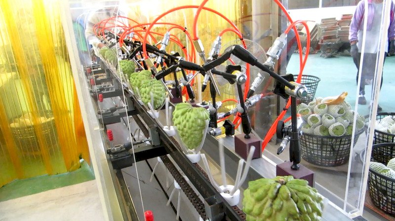 Đài Loan sẽ gửi hồ sơ cho SPS của WTO yêu cầu xử lý tranh chấp cấm nhập khẩu trái cây Đài Loan với Trung Quốc trước giữa tháng 10