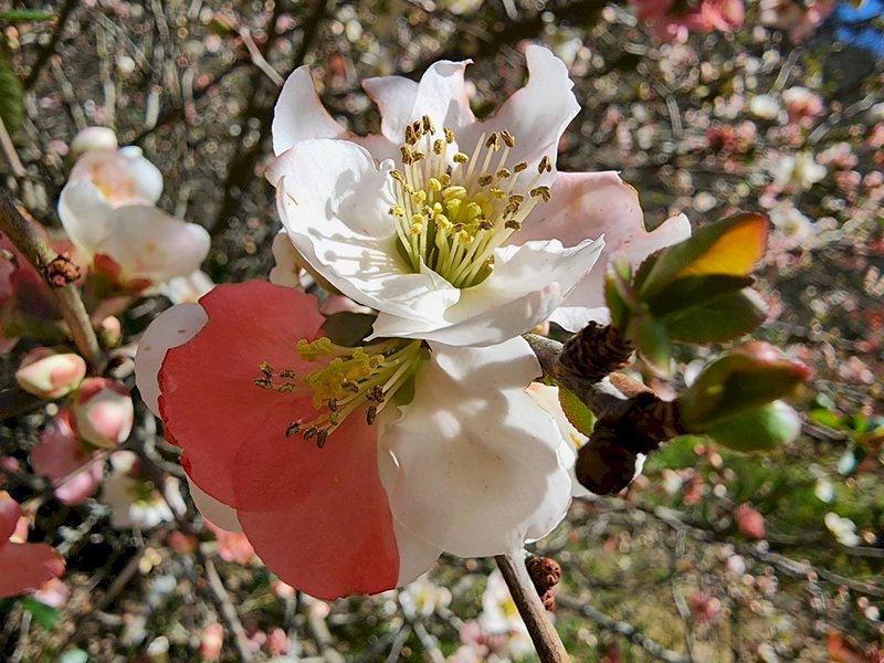 Thông tin về hội thảo tìm hiểu nhu cầu của tân di dân khi lâm vào cảnh khốn cùng bởi thiên tai, dịch bệnh