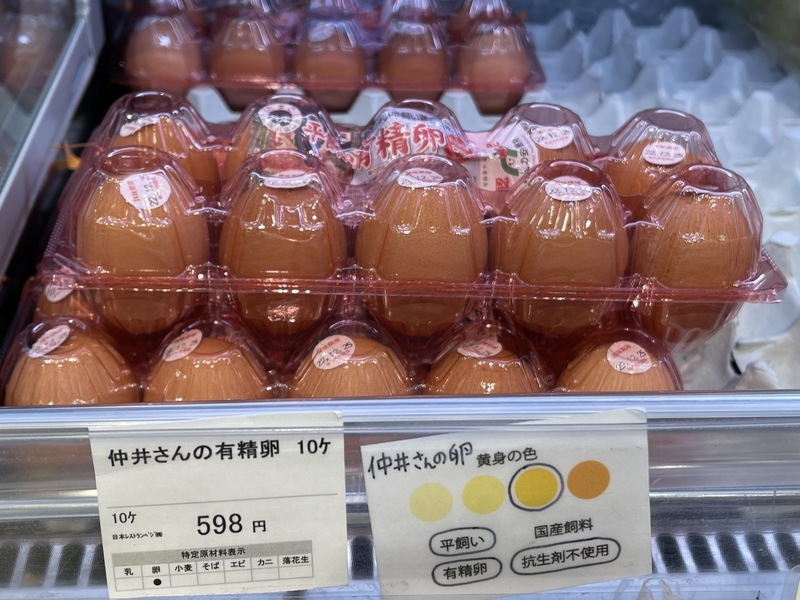 Cúm gia cầm hoành hành tại nhiều trang trại gà ở Nhật Bản, giá trứng ở mức cao nhất trong 9 năm