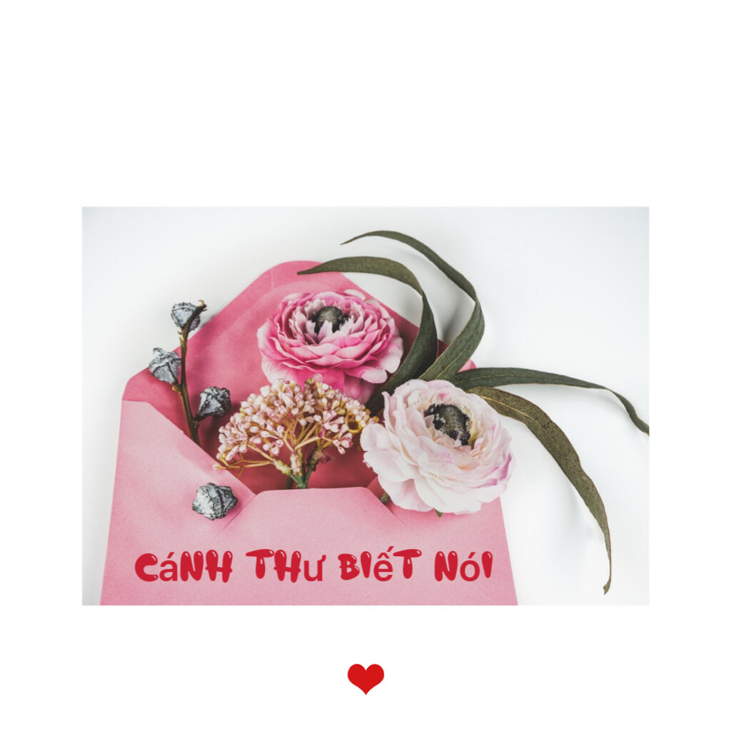 Nhịp cầu giao lưu - Trả lời thư thính giả