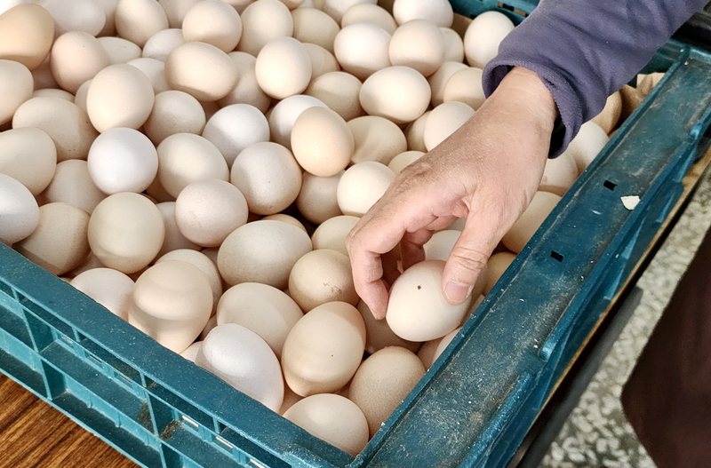 Phòng ngừa tình trạng đầu cơ tích trữ để nâng giá trứng, sẽ tăng cường kiểm tra trong đợt nghỉ lễ Thanh Minh