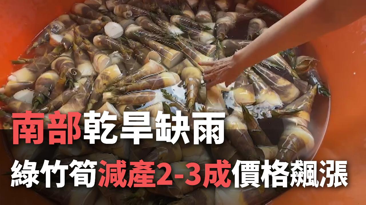 Tin Video: Miền Nam hạn hán, măng tươi giảm sản lượng, giá măng tăng cao lên đến 150 Đài tệ/600gram