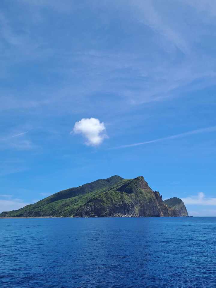 Ngắm cá heo ngoài khơi đảo Quy Sơn