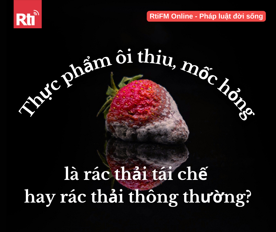 [Pháp luật đời sống - Tập 123] Quy định phân loại đối với rác thải thực phẩm đã ôi thiu, mốc hỏng