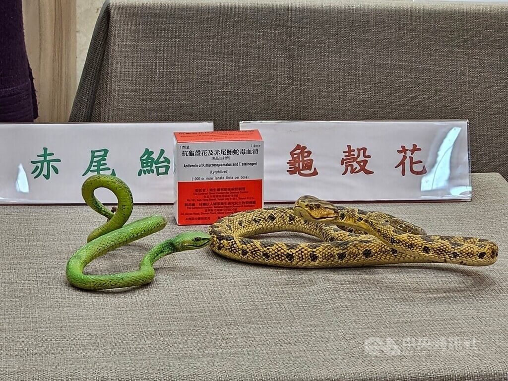Mùa cao điểm của các vụ bị rắn cắn đang đến gần, CDC nhắc nhở người dân tuân thủ nguyên tắc “5 nên và 5 không”